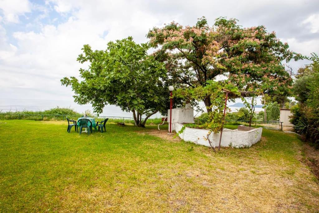 Mola Kaliva Sea View, 100M From The Beach! Buitenkant foto