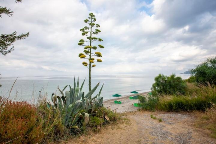 Mola Kaliva Sea View, 100M From The Beach! Buitenkant foto